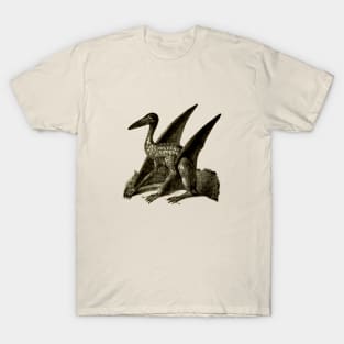 Archaeopteryx T-Shirt